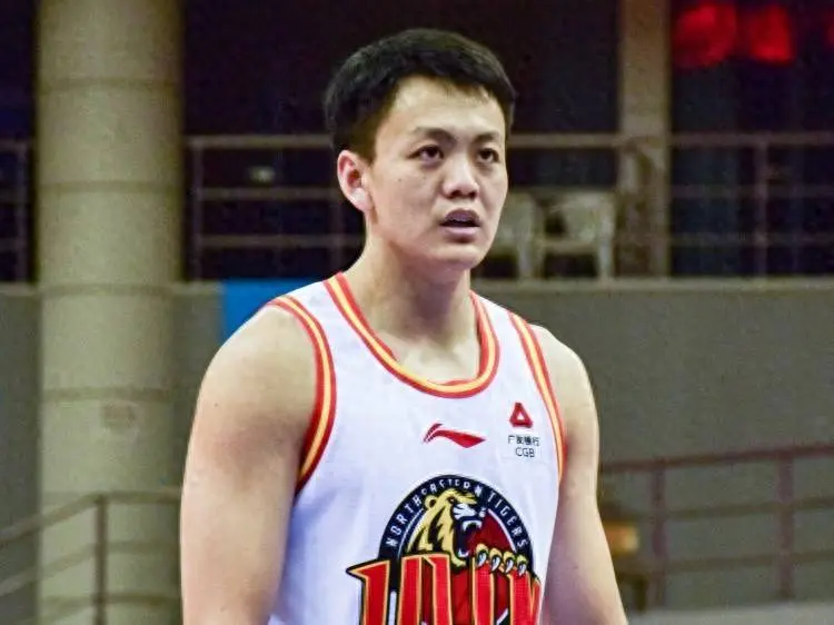 水平, 赵继伟后卫, div 水平, 赵继伟后卫, div