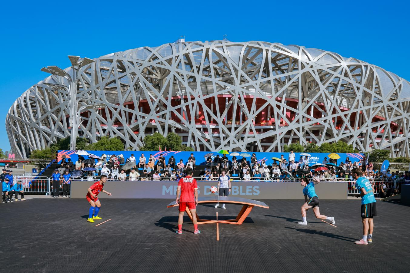 动会, msn 动会, msn