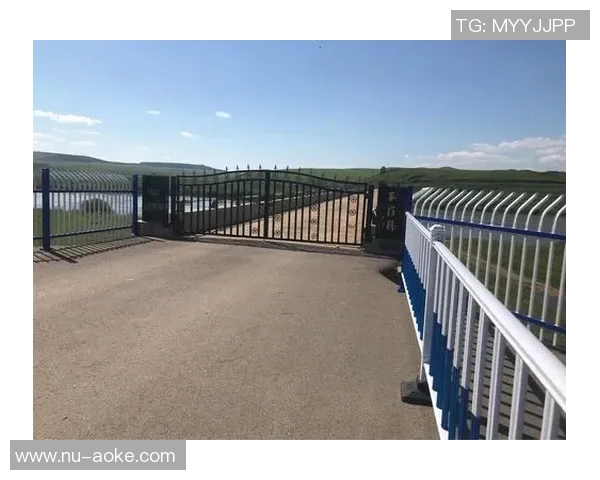 《足球传奇：那些曾在书本上留下足迹的球星故事》